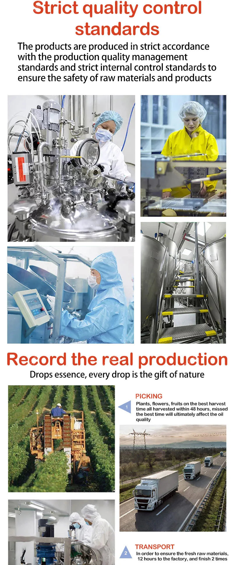 Pore Minimizing & Firming Face Serum