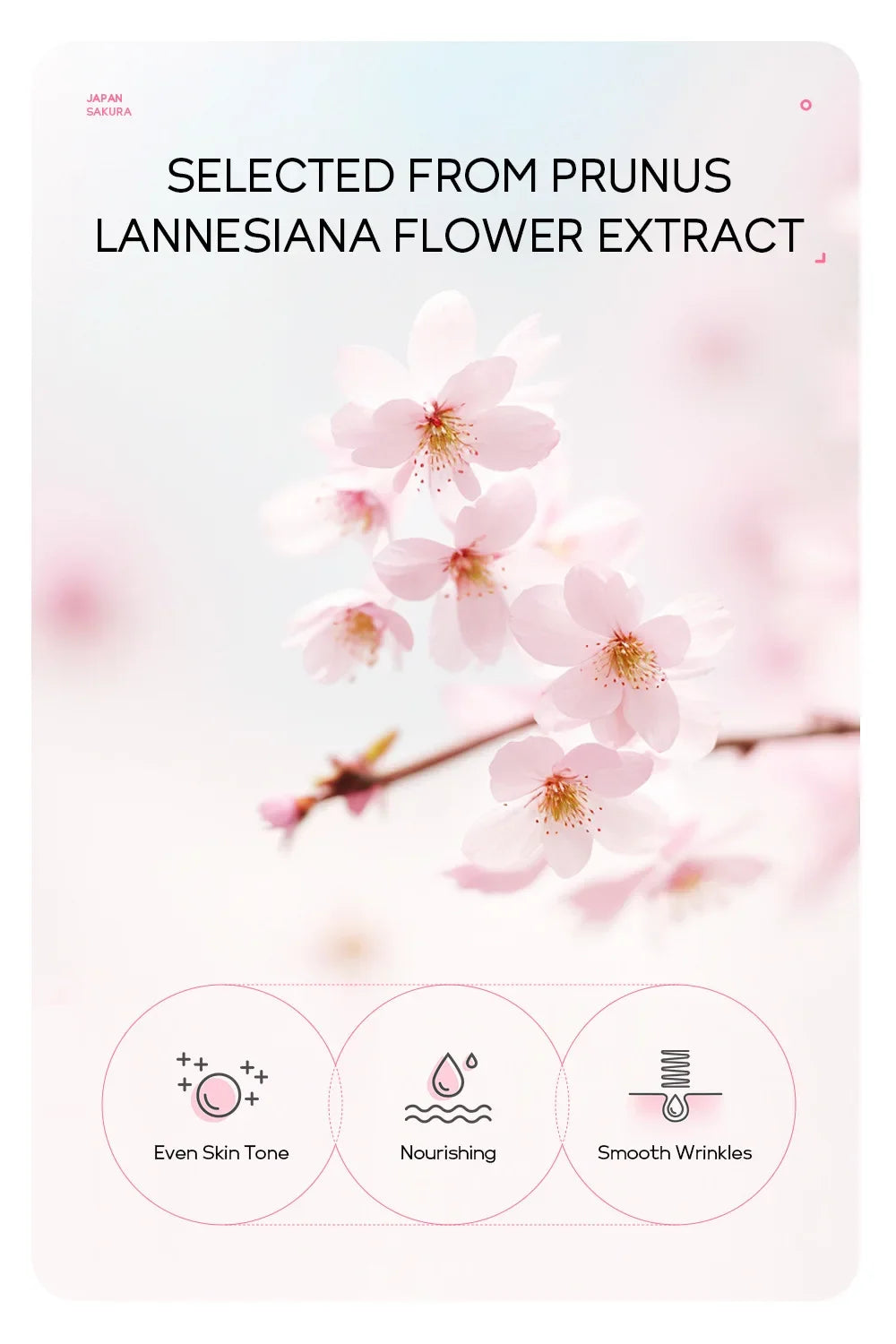 LAIKOU 24K Gold Sakura Peel-Off Face Mask – Anti-Wrinkle & Blackhead Removal